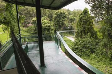 the train station in a zoo