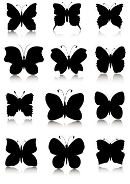 Butterflies silhouettes set