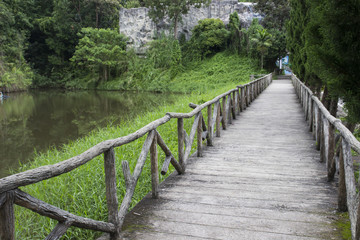 wooden pathway beside the lake