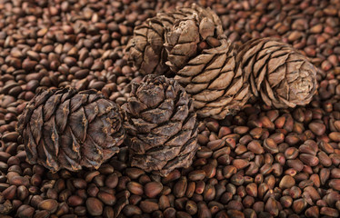 pine cones and pine nuts
