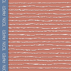 Vector background of torn paper