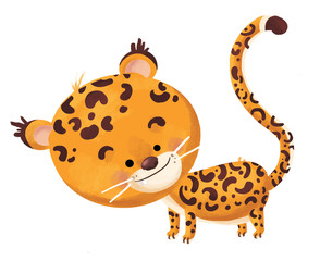 jaguar bebe © cirodelia