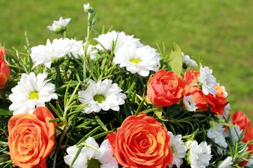flowers