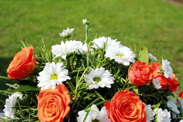 flowers