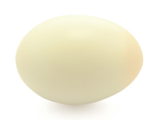 duck egg on white background