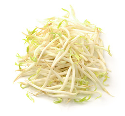 Bean Sprouts on White Background