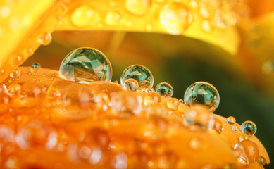 Water drops