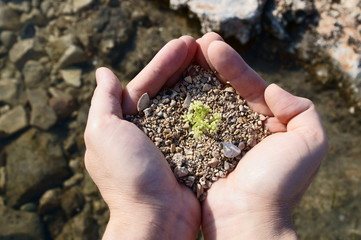 Terra nelle mani di una donna