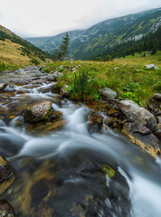 Naklejka na ściany i meble Beautiful mountain stream and fir trees in the Alps