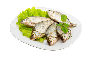 Crucian fish