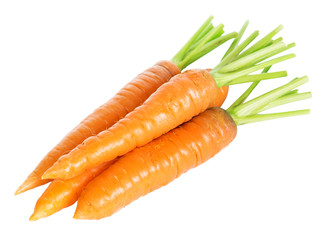 Fresh carrots