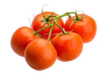 Tomatoes on the branch