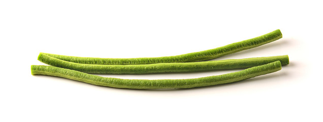 Yardlong bean with white background