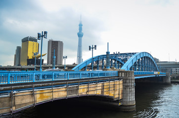 Tokyo Sky tree and Azumabashi Riverside
