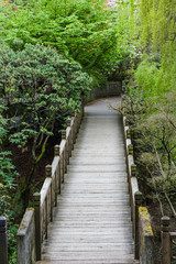 Fototapeta premium Wooden walkway through a garden