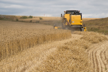 Obraz premium combine harvester