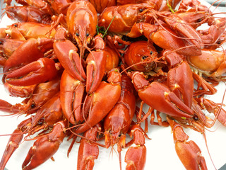 Plate full of crayfish in traditional Nordic crayfish party.