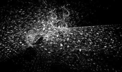 Abstract fractal background
