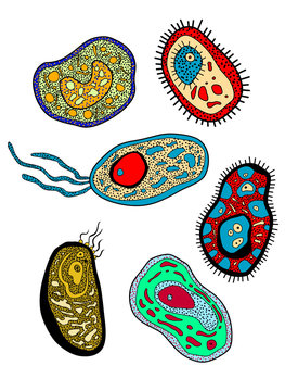 Amebas, amoebas, microbes and germs set