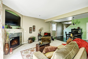 Living room in light green and beige tones