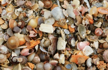 Sand and Stone Wallpaper on the beach