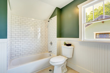 Bathroom interior with white and green wall trim