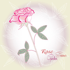 Background with pink rose