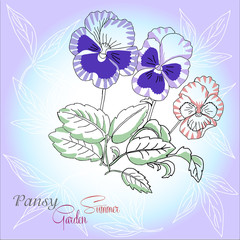 Blue background with pansies
