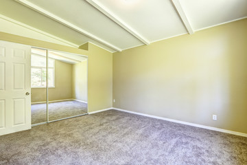 Empty old house interior. Bright yellow room with mirror door cl