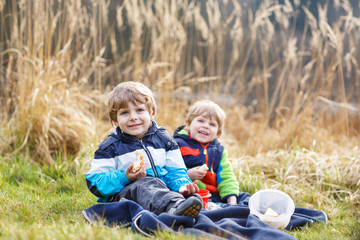 Naklejka na ściany i meble Two little sibling boys having picnic near forest lake, nature