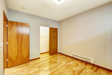 Empty apartment interior. Room with walk-in closet