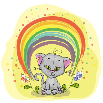 Cat with rainbow