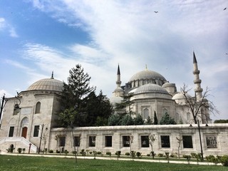 Fototapeta na wymiar Süleymaniye Camii İstanbul