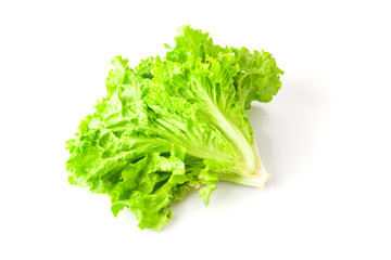 Green lettuce beam, food photo on white