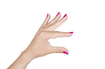 Female hand gesturing small size