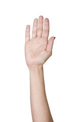 Obraz premium hand raise up