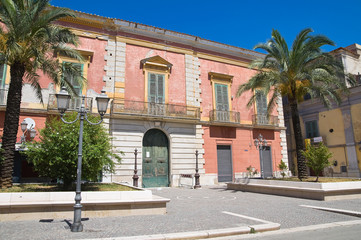 Fototapeta na wymiar Historical palace. San Severo. Puglia. Italy.