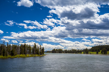 River and forest landscape in Yellowstone National Park, Wyoming