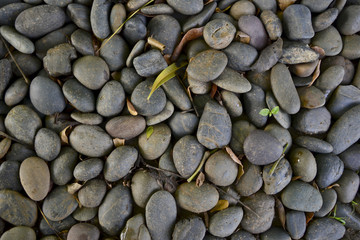 decorative floor pattern of a gravel stone