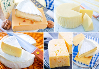 cheese © tycoon101