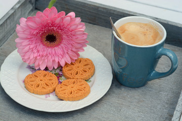 Koffie met koekjes met roze gerbera