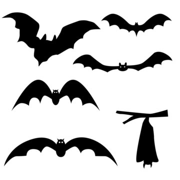 Collection of bats isolated on white background, vector