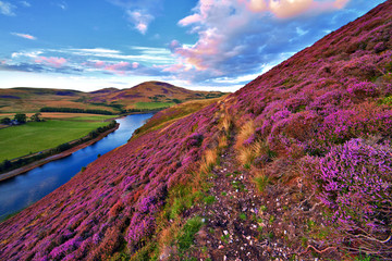 Prachtig landschap van de Schotse natuur