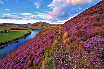Stickers pour porte Été Beau paysage de nature écossaise