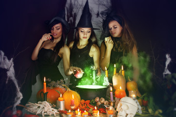 witches brew the potion