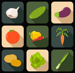 Flat icons of vegetqables
