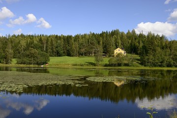 Fototapete bei efototapeten.de bestellen   