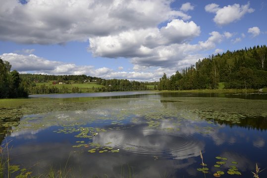 Swedish scenery