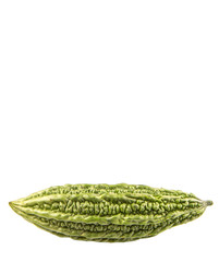 Bitter gourd vegetable over white background