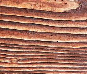 Wooden board close-up.
